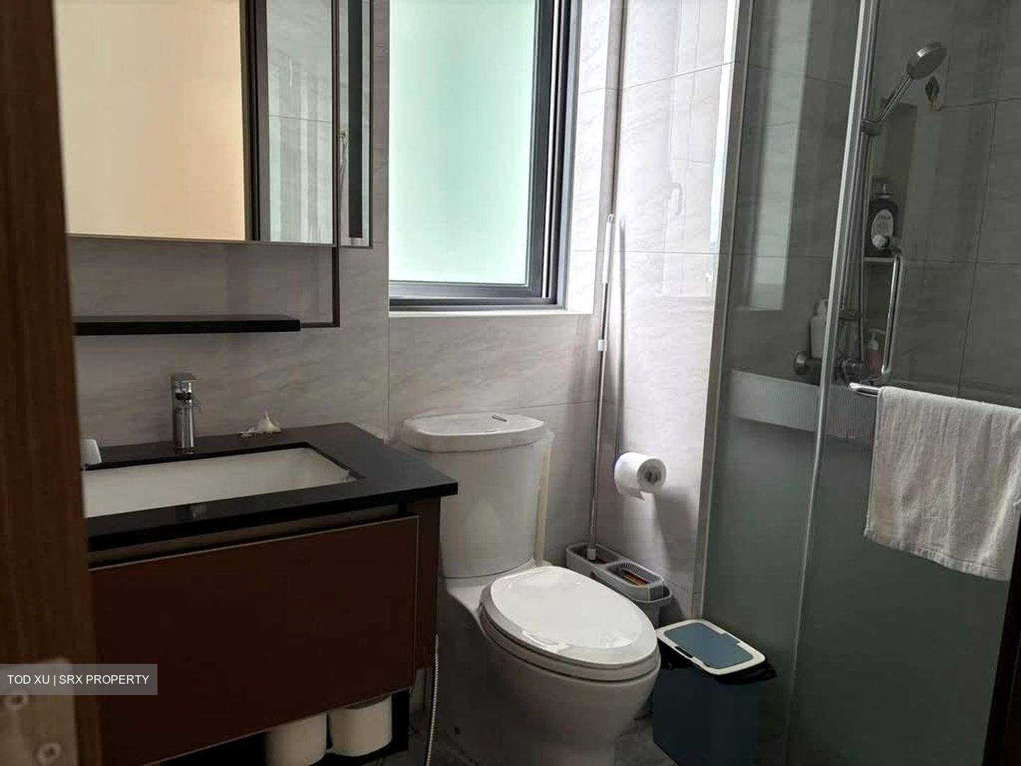 Normanton Park (D5), Apartment #576847711